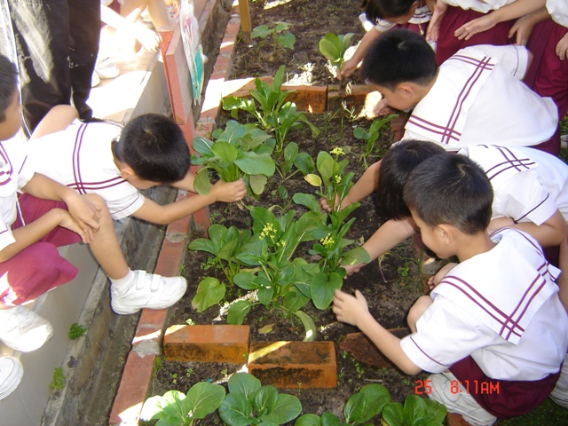 DSC07699.JPG